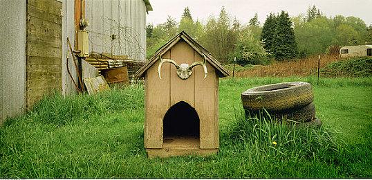 科学ADV《匿名代码》7月28日发行 新预告片分享